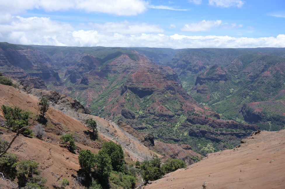 Canyon de Waimea