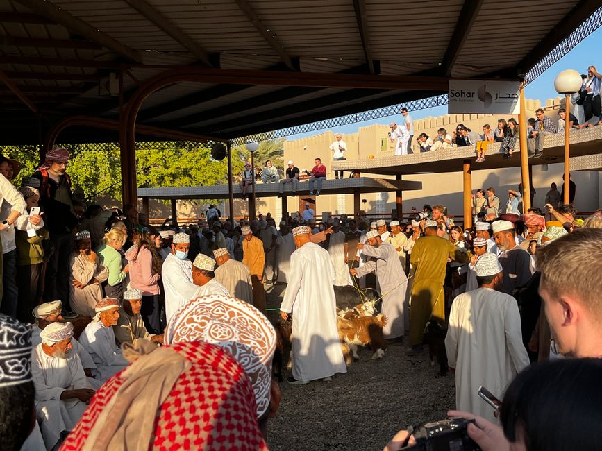 Nizwa