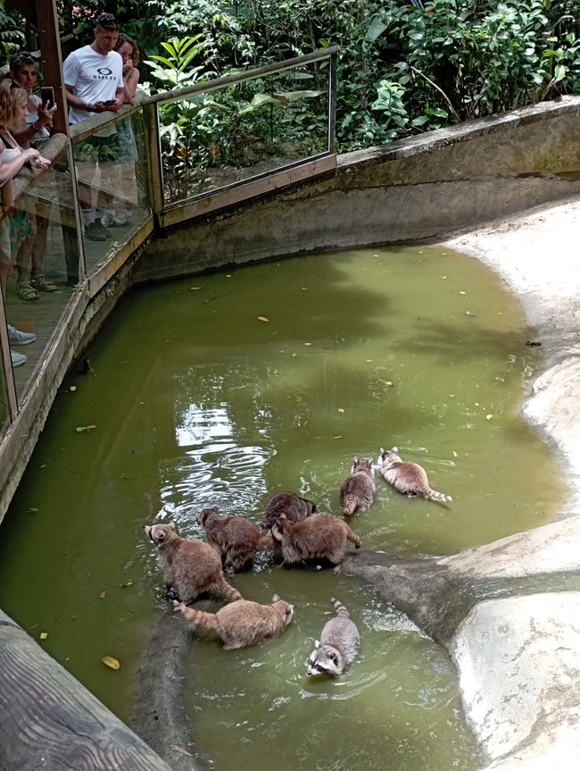 Zoo Guadeloupe