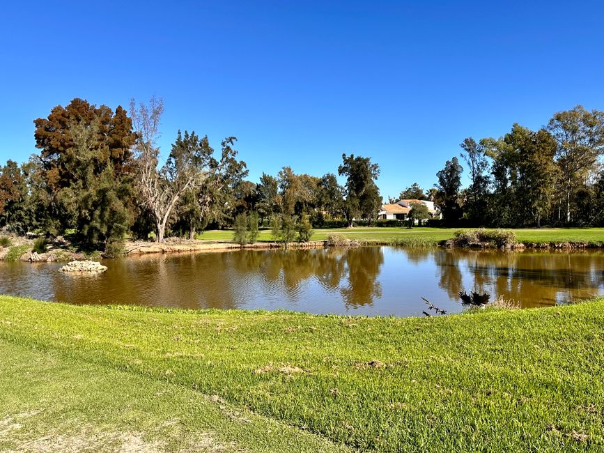 Penina Golf Club, Alvor