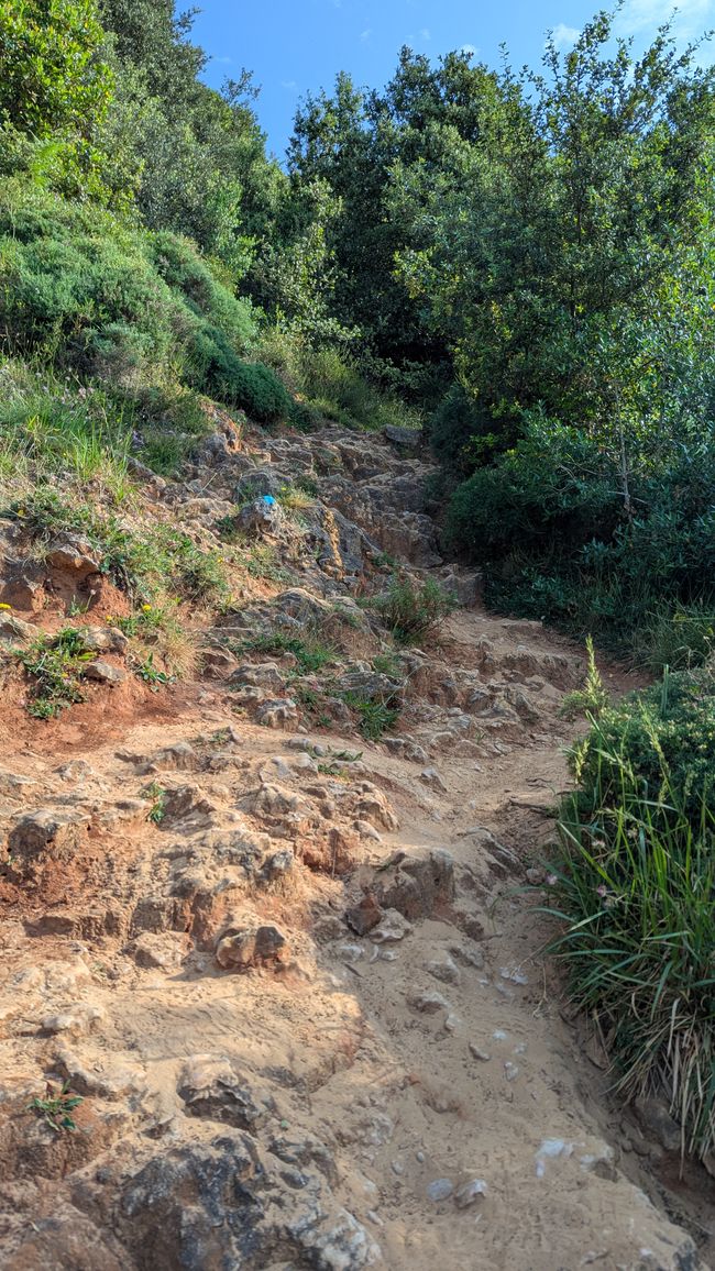 5. Etappe Camino del Norte von Santona nach Güemes