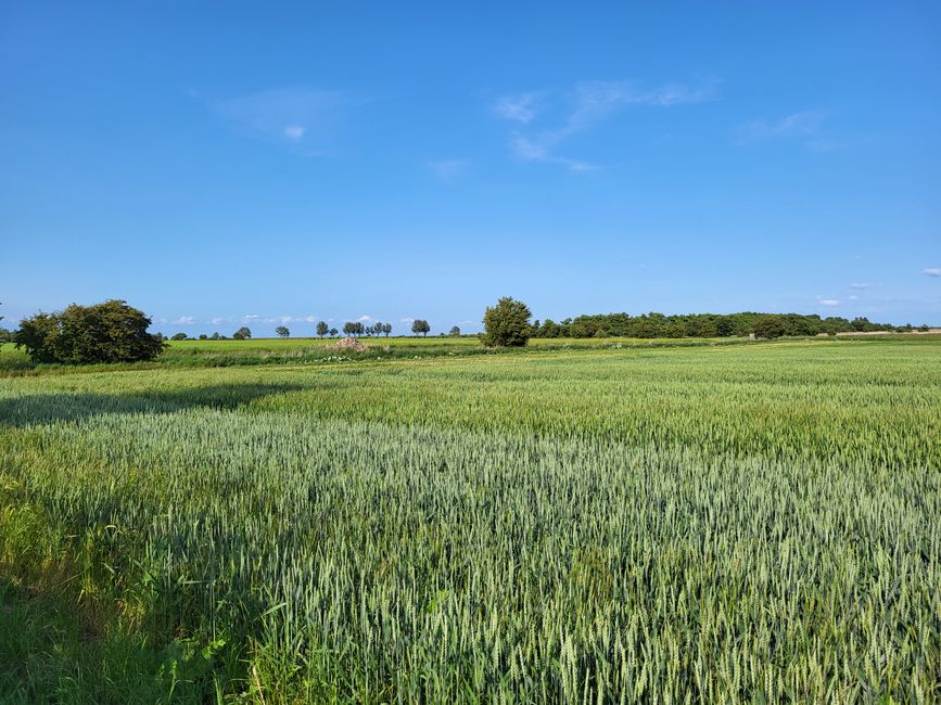 Auf dem Weg zum Naturschutzgebiet "Grüner Brink"