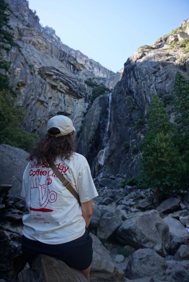 Tag 9 - Ultimo giorno nello Yosemite e un momento indimenticabile con un orso 🐻