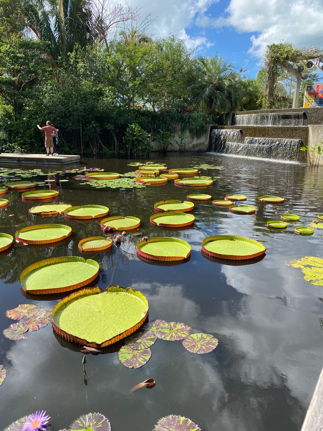 Giardino botanico a Naples