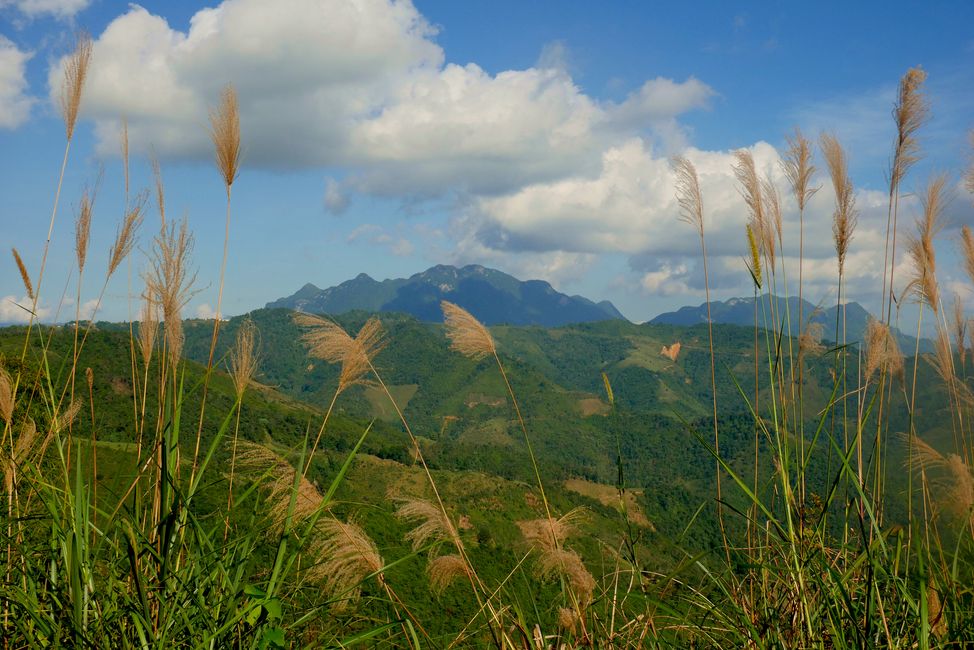 Wide view in Pu Mat National Park