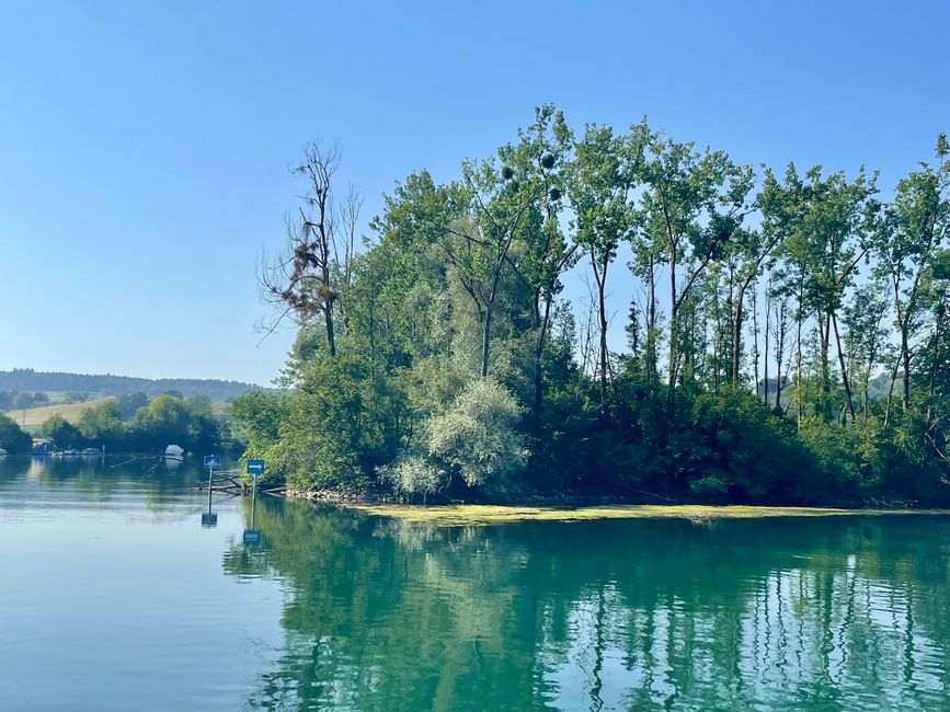 Croisière sur la Aar de Soleure à Bienne 🚢