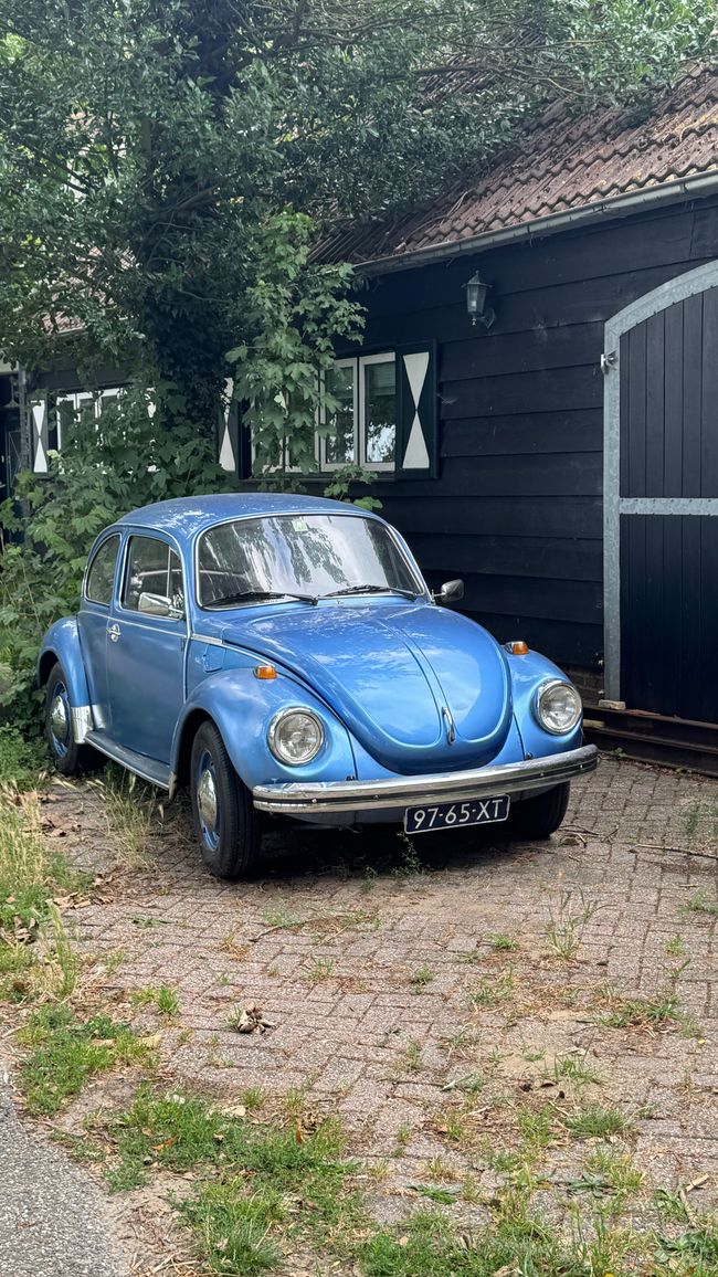 Voorne-Putten mein Käfer steht da