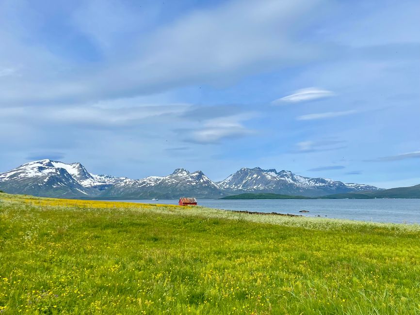 Day 5 - Cycling and hiking (almost) to Ullstinden