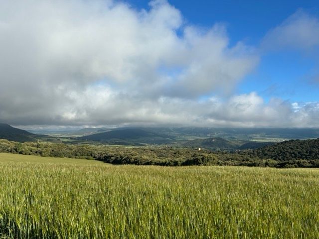 9. Tag
Estella - Los Arcos