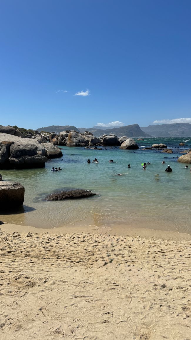 Tour del porto a Città del Capo, Spiaggia di Muizenberg, Spiaggia di Boulders, Capo di Buona Speranza