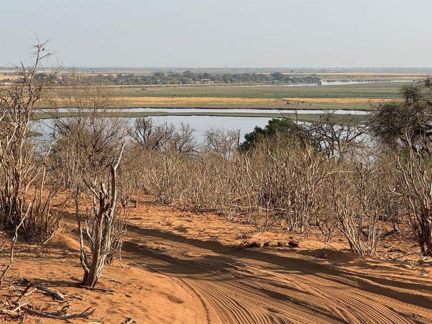 Parque Nacional Chobe