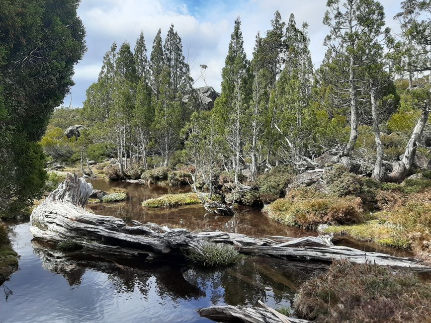 - Singapur & Tasmania 2019 -