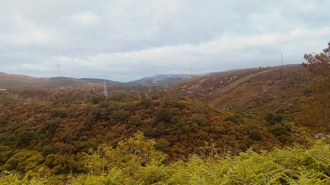 Tag 16 Olveiroa - Finisterre