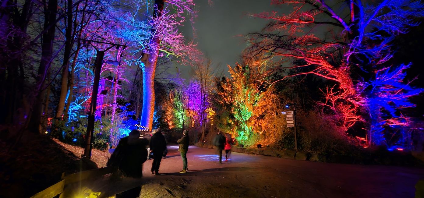Giardino di Natale allo Zoo di Hannover
