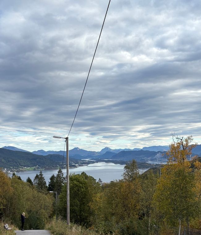 #3/6 - AIDAnova - Ålesund