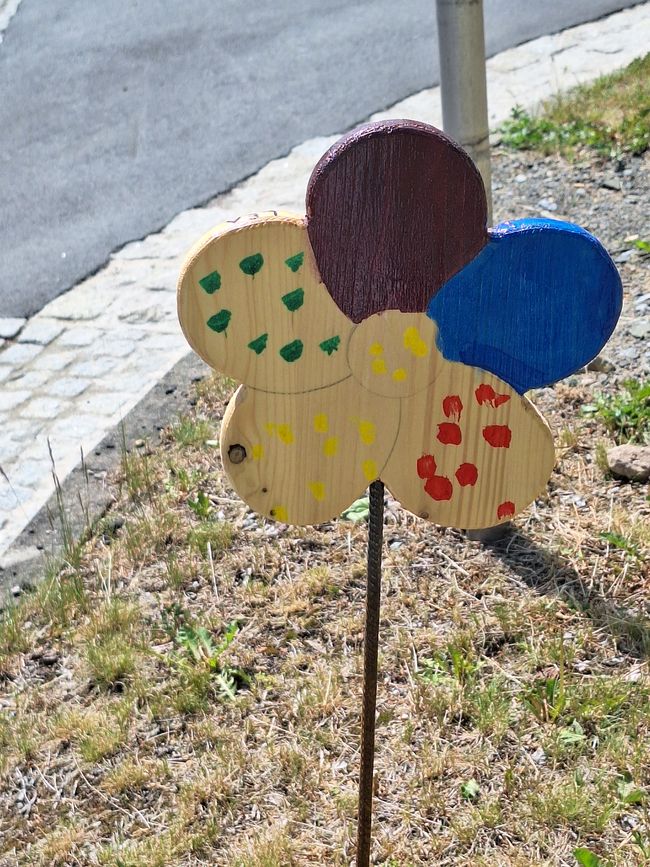 Ai lati del percorso ci sono fiori bellissimi