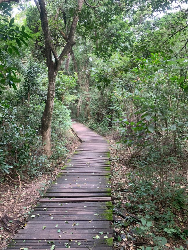 Botanischer Garten 