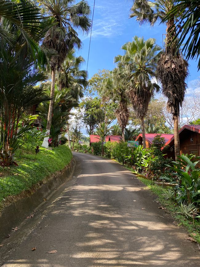 Boca Tapada