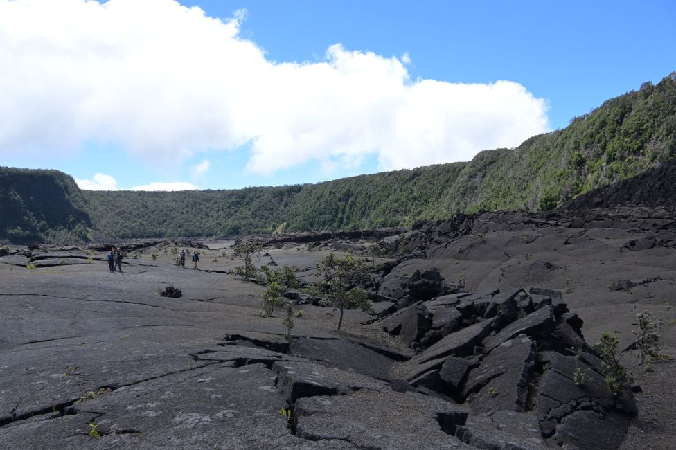 Attente de l'éruption - Cratère de Kilauea Iki