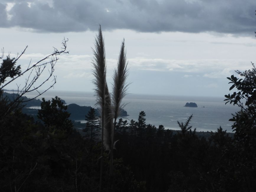 Whangapoua