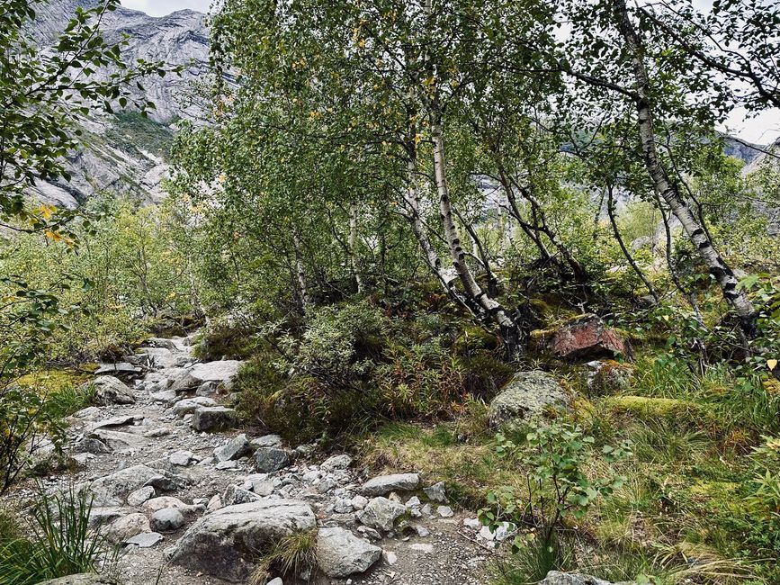 Nigardsbreen - la glace éternelle (?)
