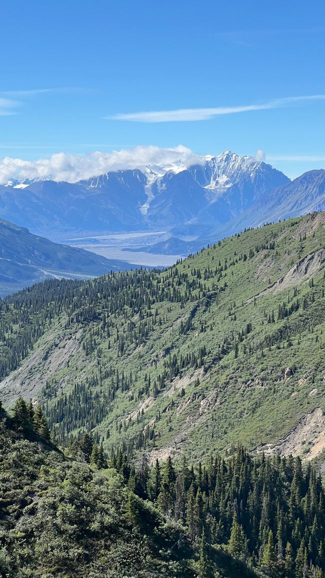 Sheep Creek Trail - Blick auf Sakwasus Glacier