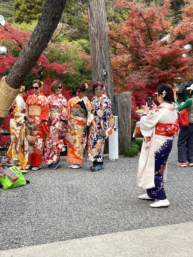 Gruppen-„Geisha“-Photo