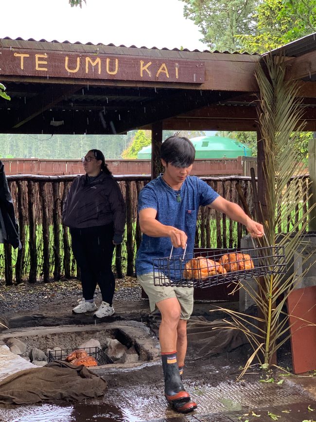 Whirinaki – Der Tag, an dem mich die Natur wieder gefunden hat