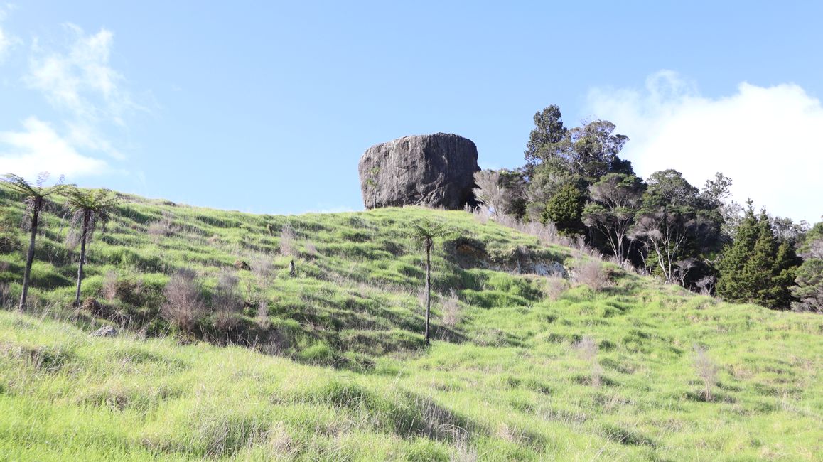 Wairere Boulders Nature Reserve - Magic Rock