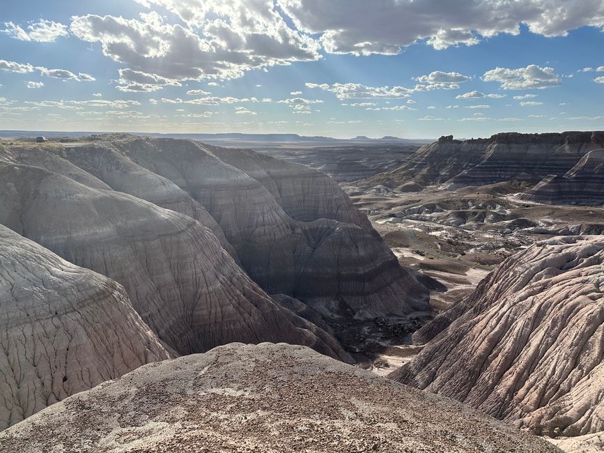 Arizona/ New Mexico/ Petrified Forest/ White Sands