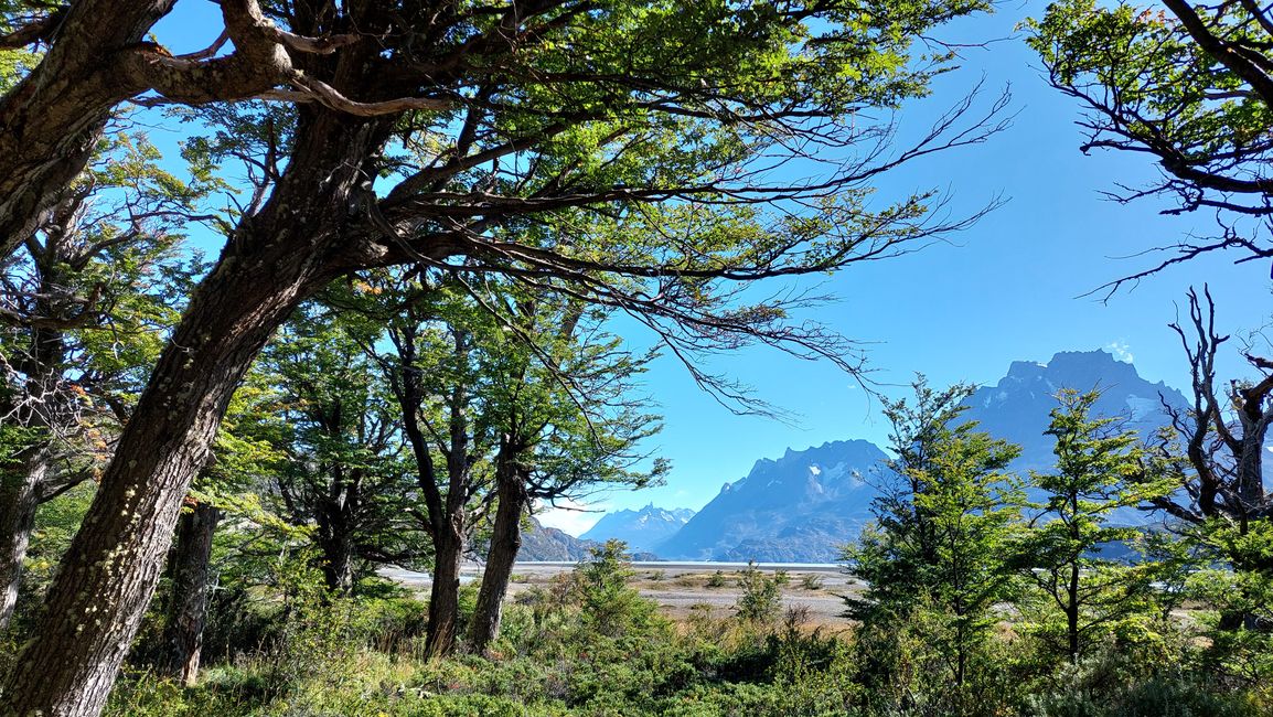Chile - Santiago und Patagonien