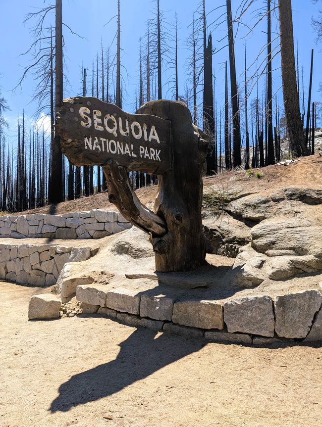 Parque Nacional Sequoia