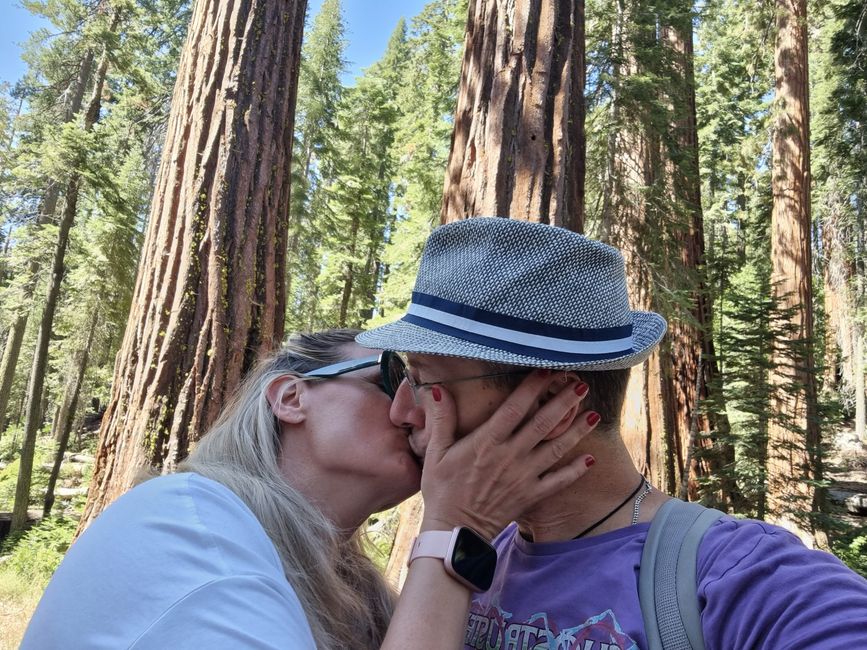 Kalifornien 2025, Tag 6, Yosemite National Park