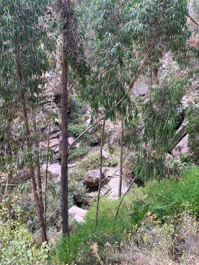 Day 17 
Mysterious hiking trail with "waterfall" somewhere in the Andes near Cusco