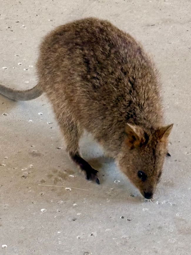 Perth