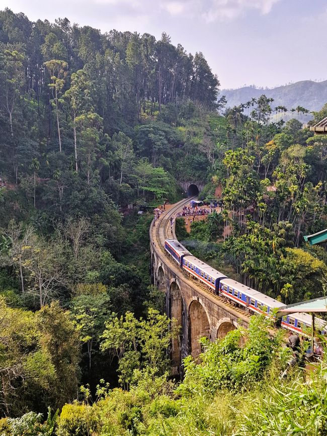 Train view