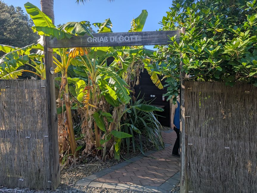 Wairere falls & Te Waihou walkway