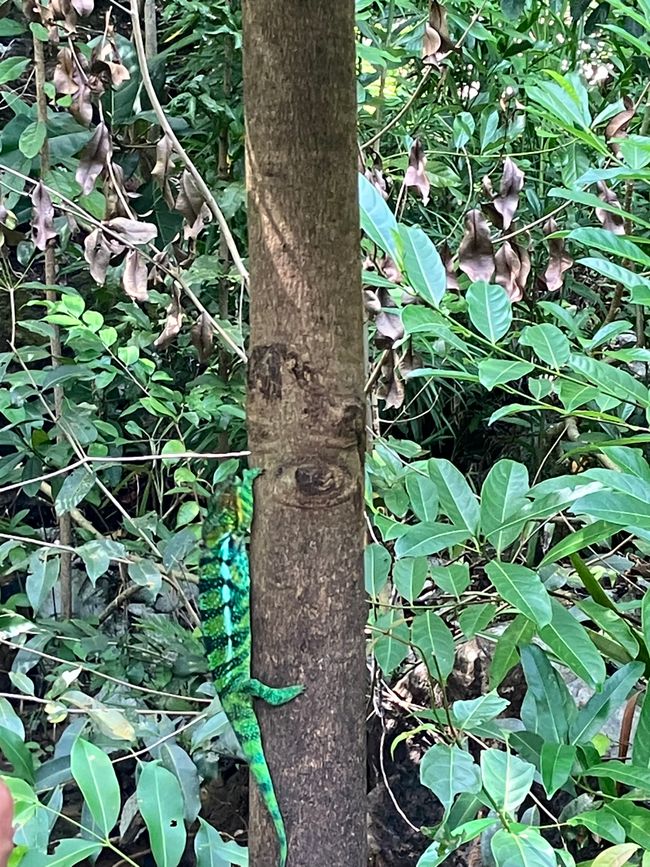Paraíso insular Nosy Be