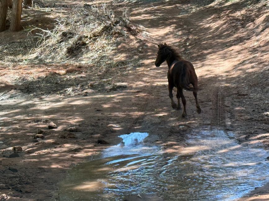In the canyon