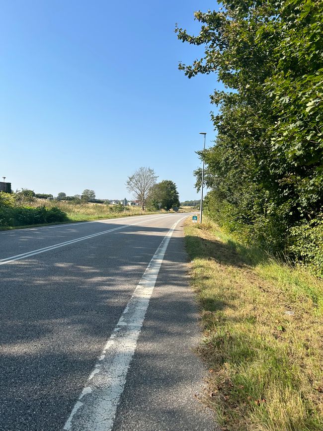 Gute Straße, auch wenn mal ein Auto kam (meist aber normale Radwege)