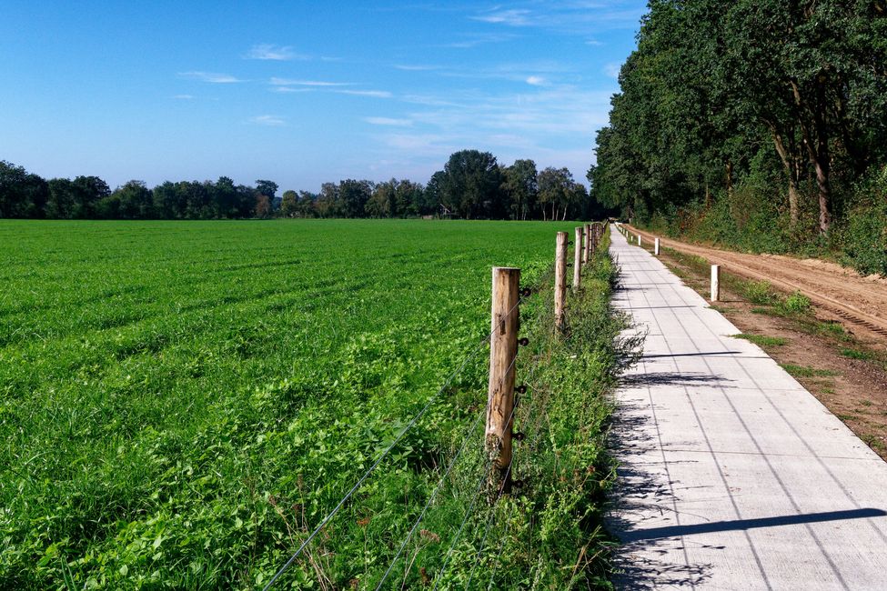 Radfahren in der Veluwe
