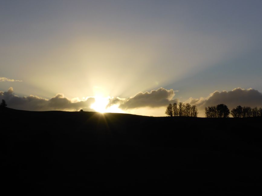 2025-04-15 Dargaville