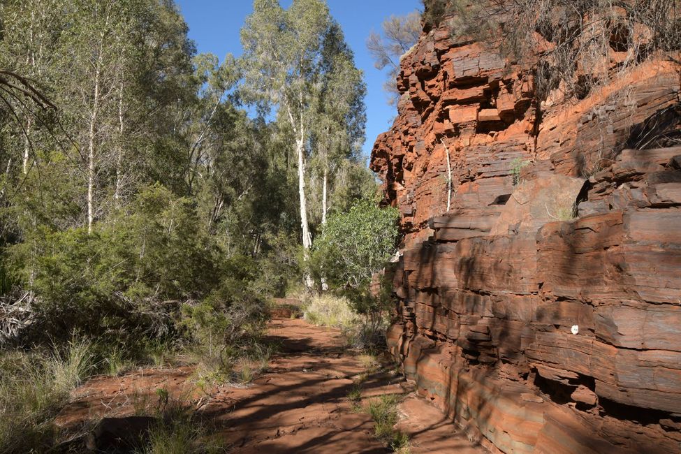 Dales Gorge