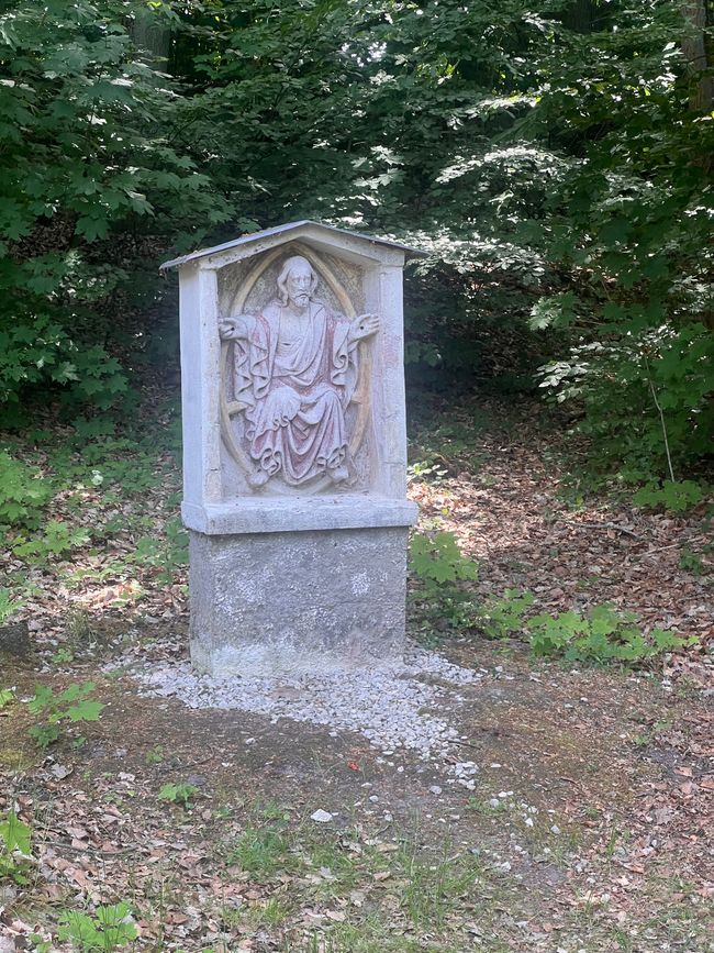19b Domspatzen und Walhalla