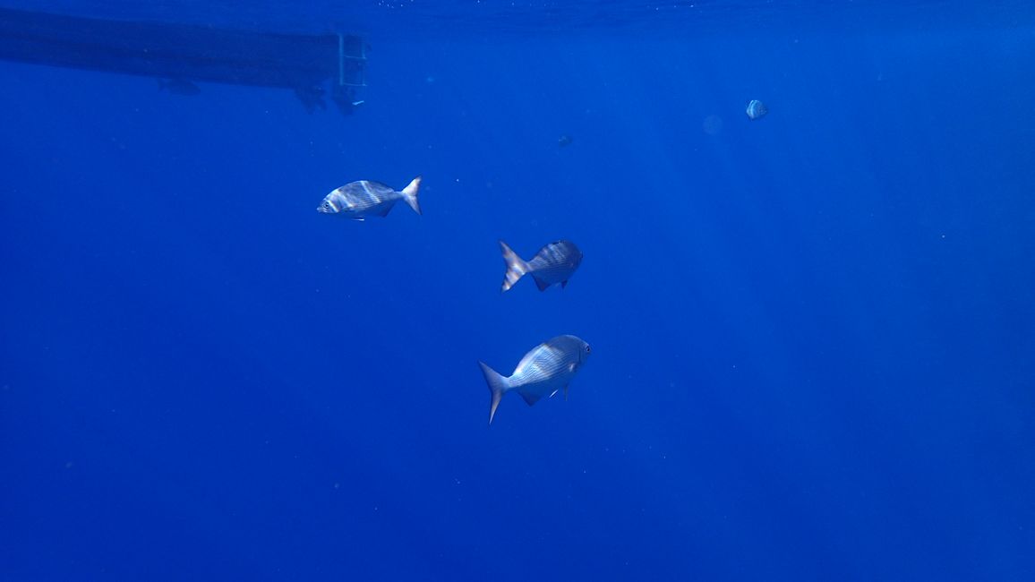 Fantastic clear water