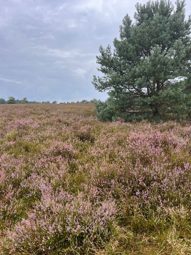 Sunsets are also breathtaking in Germany