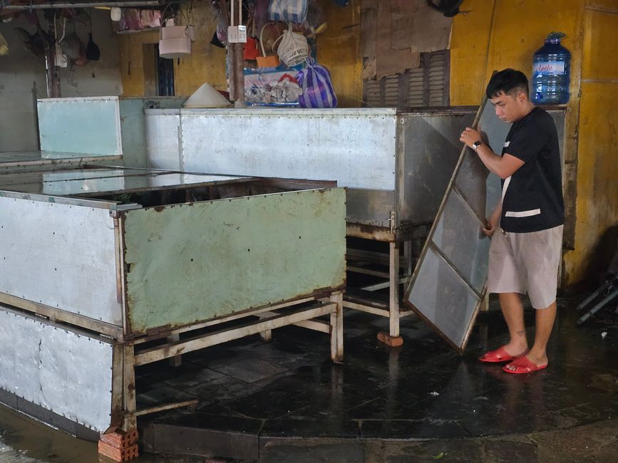 Hoi An - les travaux de nettoyage ont commencé