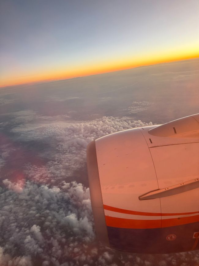 Rückflug ⛅️✈️/ Return Flight ⛅️✈️