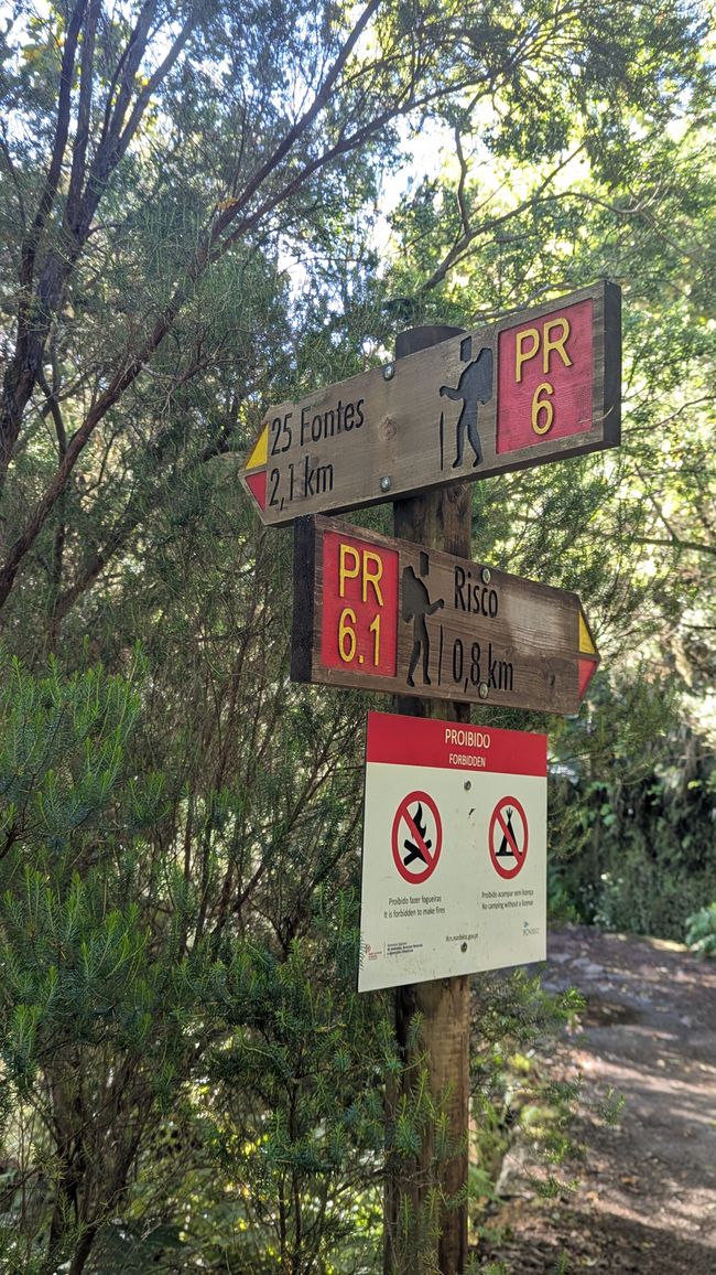 Tag 10: Levada das 25 Fontes und Risco & Feenwald