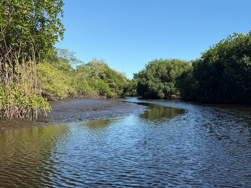 BLOG 20: Nicaragua - Costa del Pacífico y Bosque de Manglares